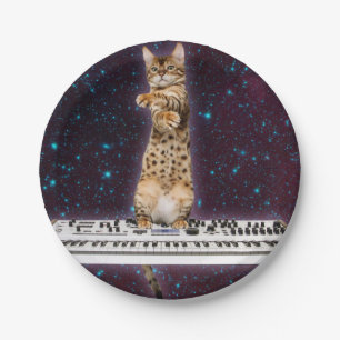 Keyboard cat strikes again paper plates