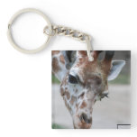 keychain acrylic keychains - Customized