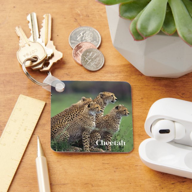 Keychain-Cheetah's Keychain (Desk)