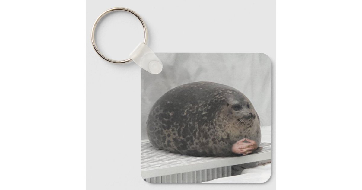 Keychain Chonky Seal Meme Zazzle keychain-chonky-seal-meme-zazzle