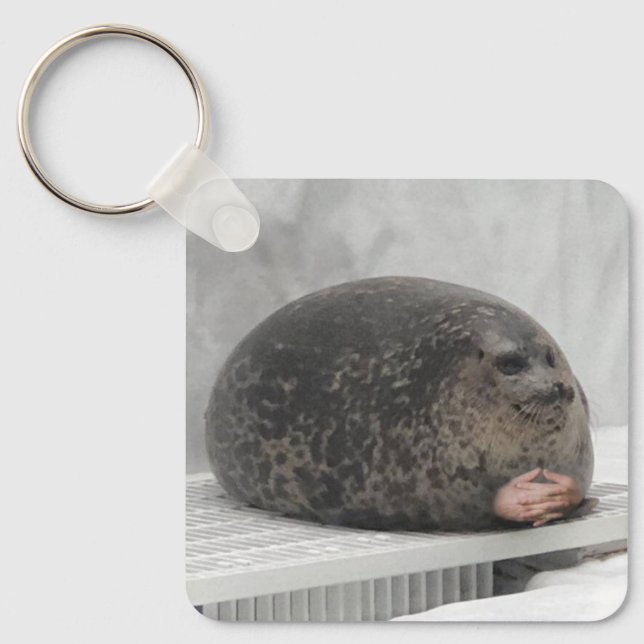 Keychain Chonky Seal Meme (Front)