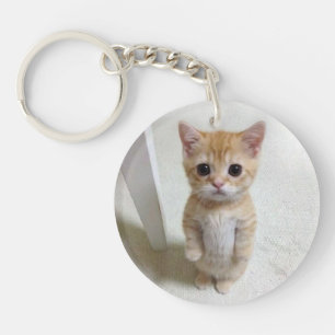 Keychain El Gato Cat Meme