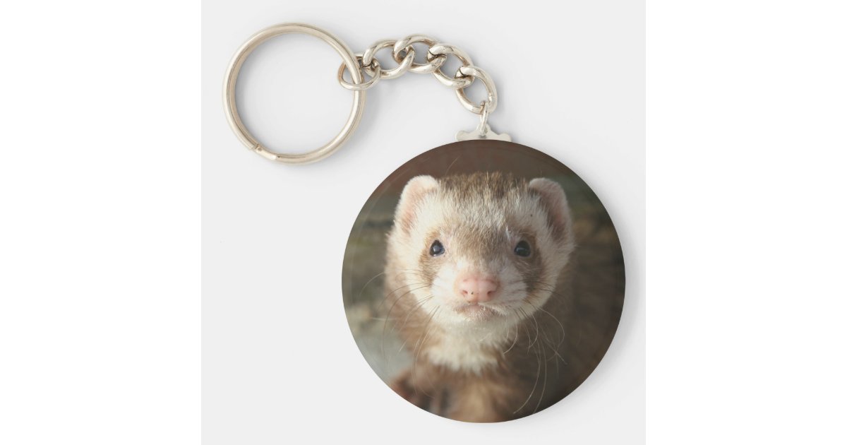 Keychain Ferret closeup