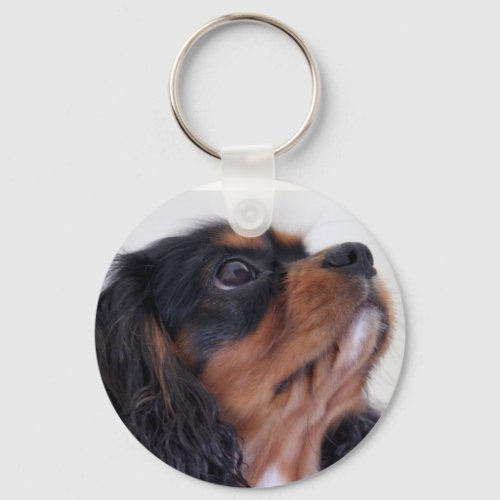 Keychain _ King Charles Cavalier