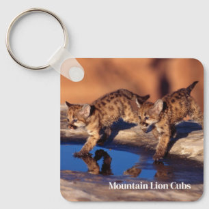 Keychain-Mountain Lion Cubs Keychain