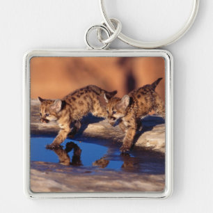 Keychain-Mountain Lion Cubs Keychain