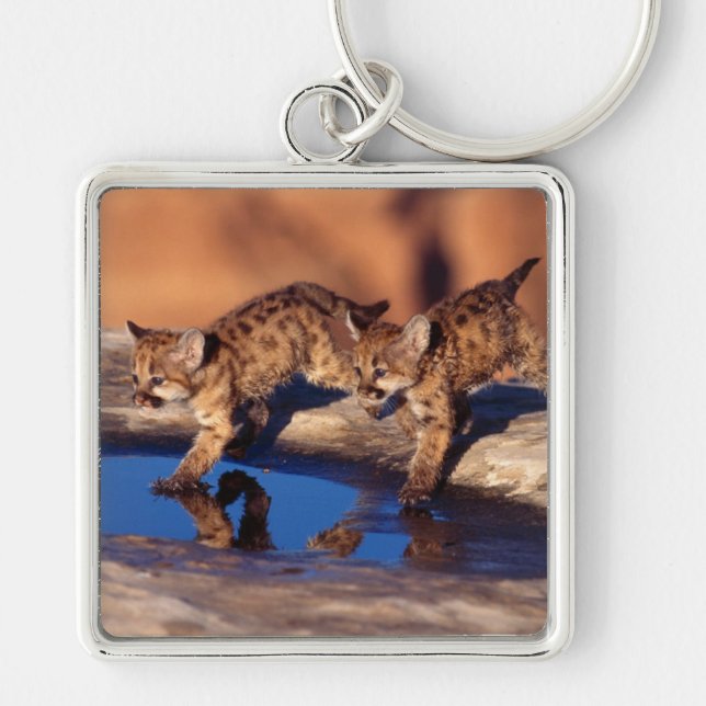 Keychain-Mountain Lion Cubs Keychain (Front)