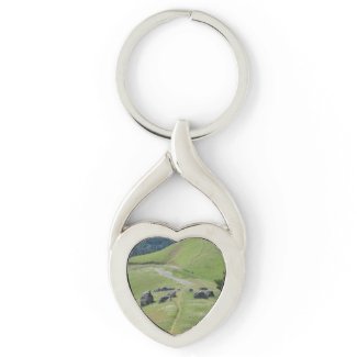 Keychain Mt Tamalpais Tam-Henge Green Grass
