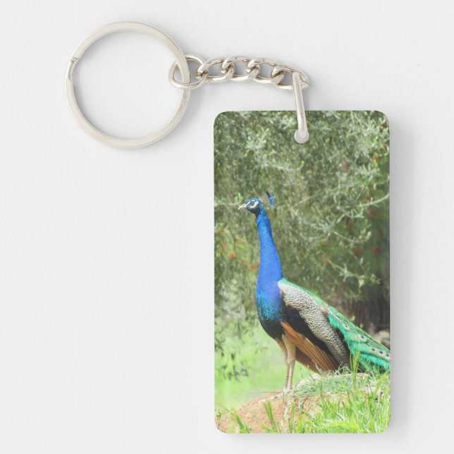 keychain - Peacock (Front)