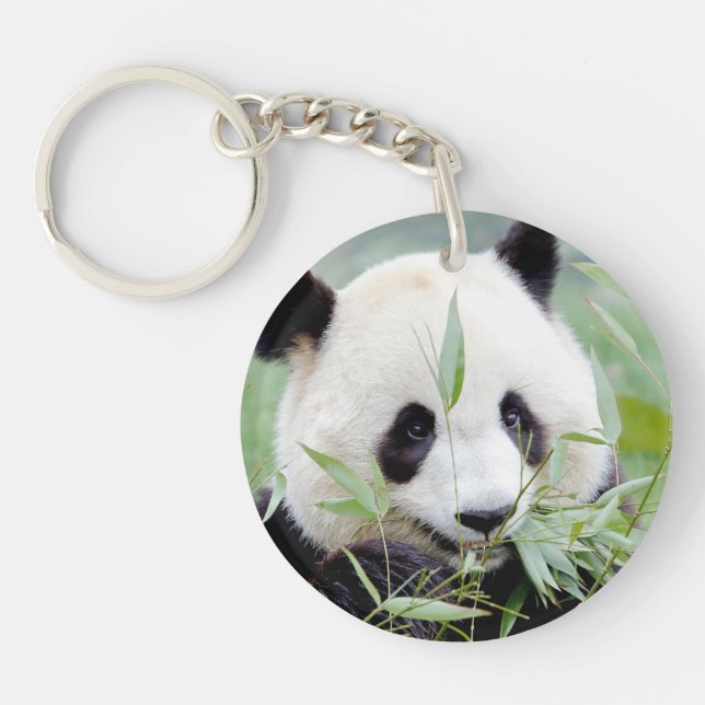keychain photo giant panda 0061. (Front)