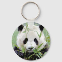 Keychain photo giant panda. Panda geant.