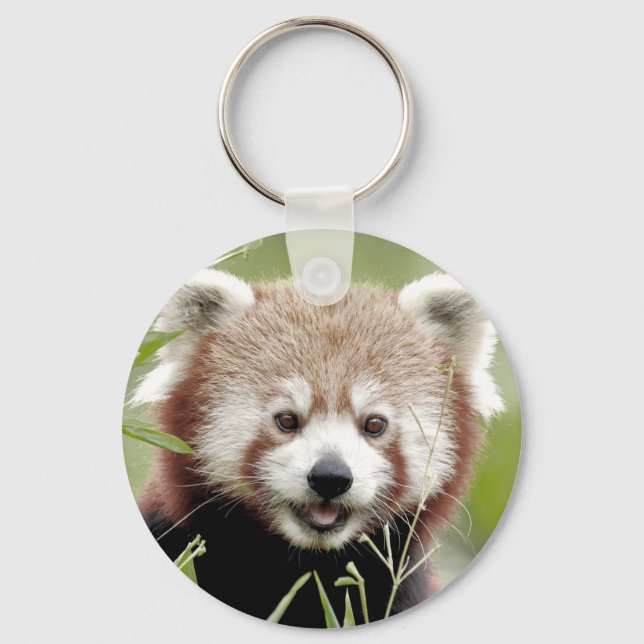 Keychain photo panda network. Panda roux. (Front)
