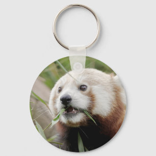 keychain Photo red panda , animals 0326.