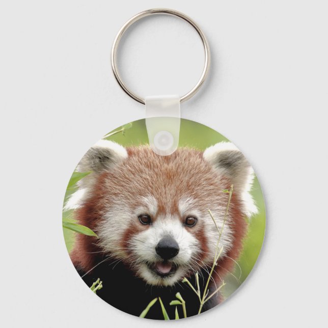 keychain Photo red panda , animals 0328. (Front)