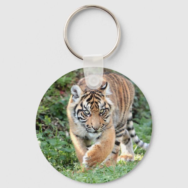 keychain Photo tiger , animals 0190. (Front)