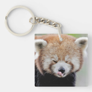 keychain photography red panda.