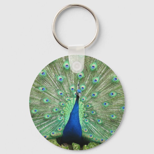 Keychain - Proud Peacock (Front)