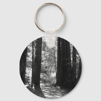 Keychain - Redwoods