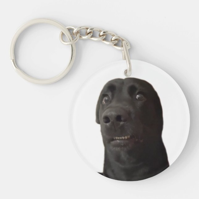Keychain Scared Dog Meme (Front)