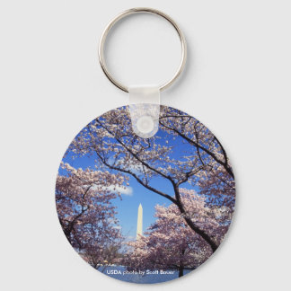 Keychain / Washington Monument