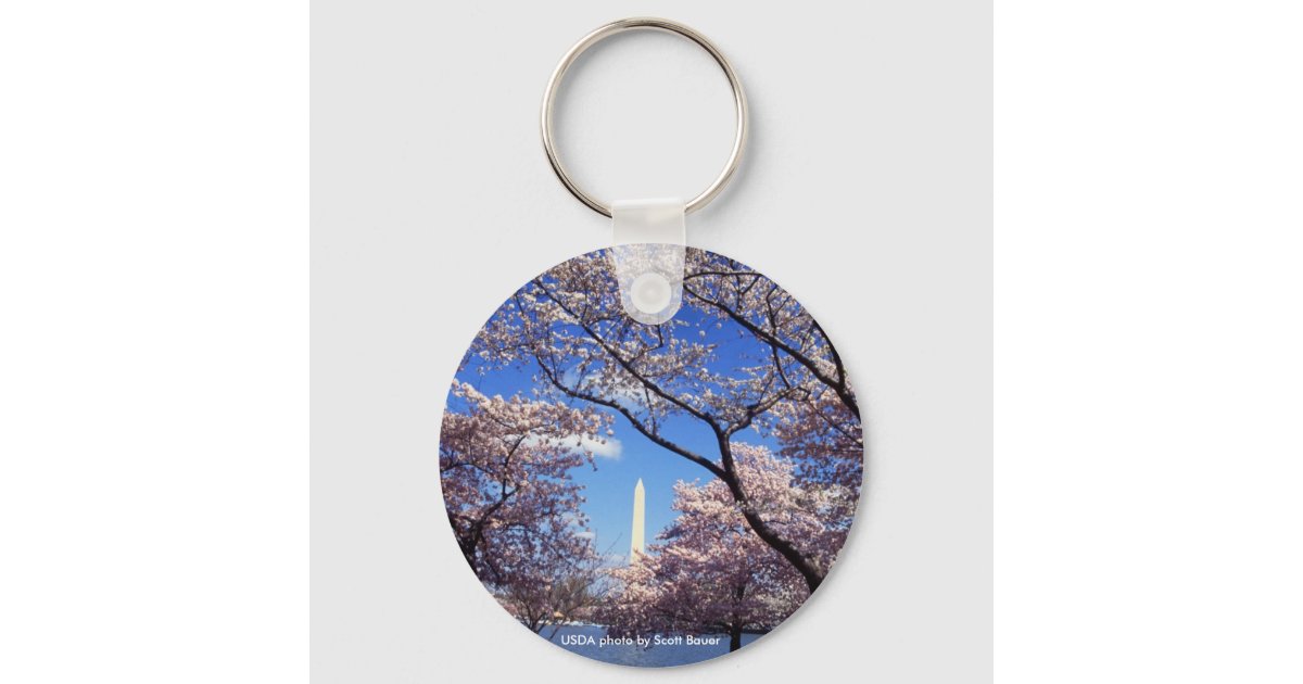 Keychain / Washington Monument | Zazzle