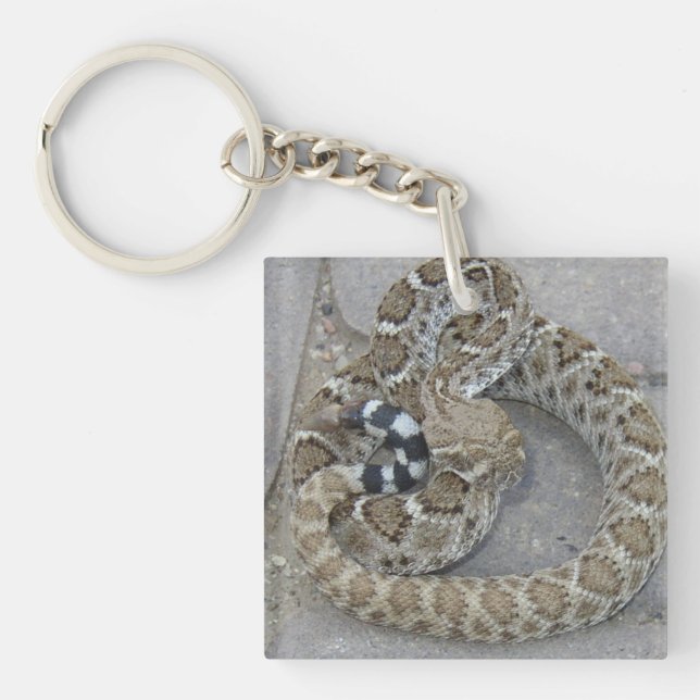Keychain with Baby Rattlesnake (Front)