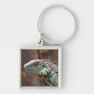 Keychain with colourful Iguana lizard