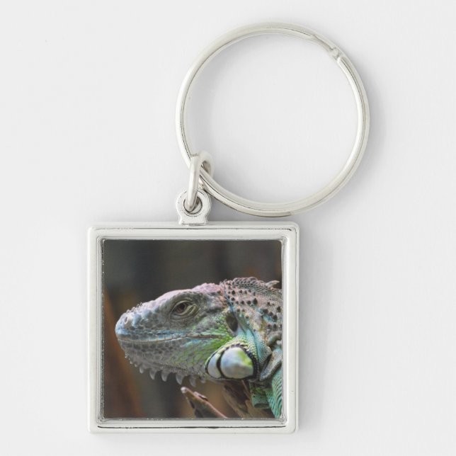 Keychain with head of colourful Iguana lizard (Front)