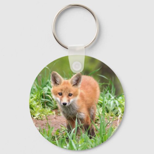 keychain with photo of red fox kit