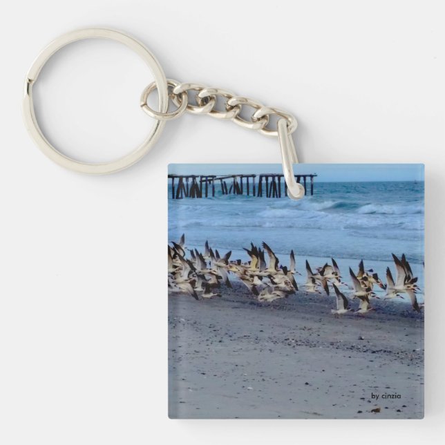 Keychain with picture of birds, black skimmers (Front)