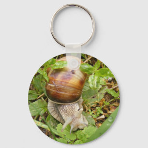 Keychain with snail.