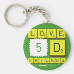 Love
 5D
 Friends  Keychains