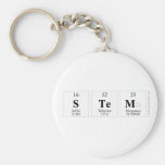 stem  Keychains