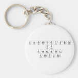 Characteristics 
 of 
 chemical
 Families  Keychains