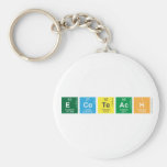 Ecoteach  Keychains