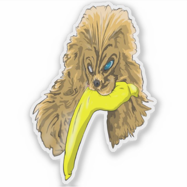 Keys & Banana, the Miniature cocker spaniel 3 Sticker (Front)