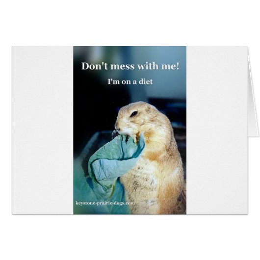 Keystone Prairie Dog diet meme Cards (Front Horizontal)