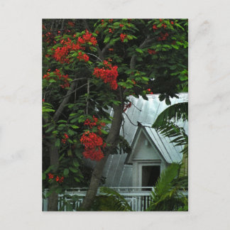 KeyWest Tin Room Post Card