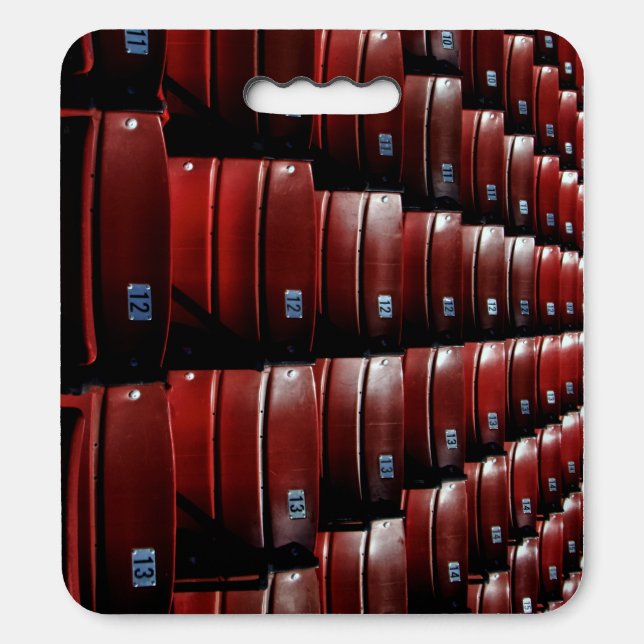 Kezar Stadium Seating Seat Cushion (Front Vertical)