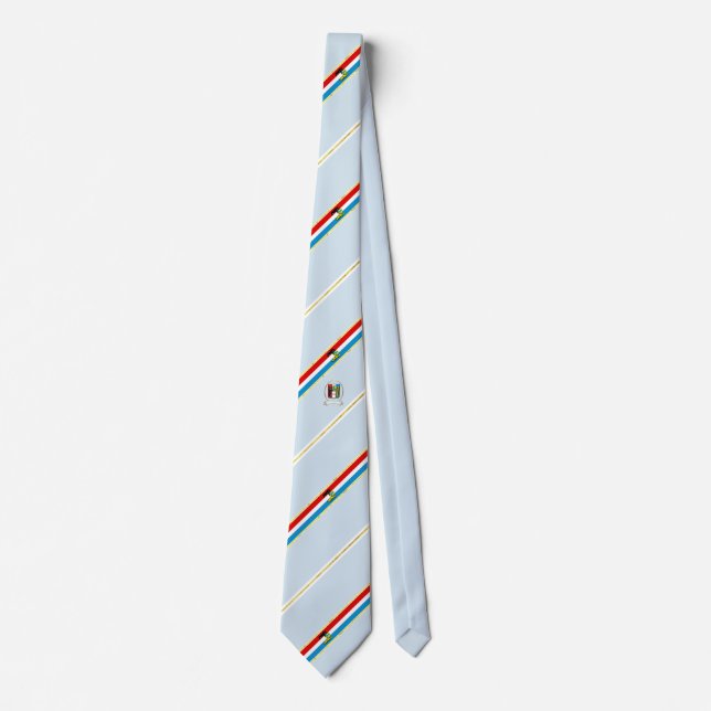 Khabarovsk stripes flag neck tie (Front)