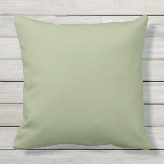 Khaki Green Color Matched Outdoor Pillow