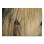 Khalif (Front Horizontal)