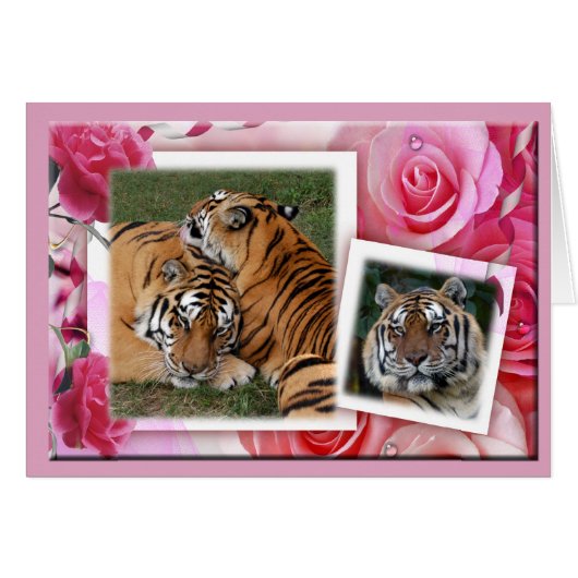 Khan-00100-65x45 Cards (Front Horizontal)