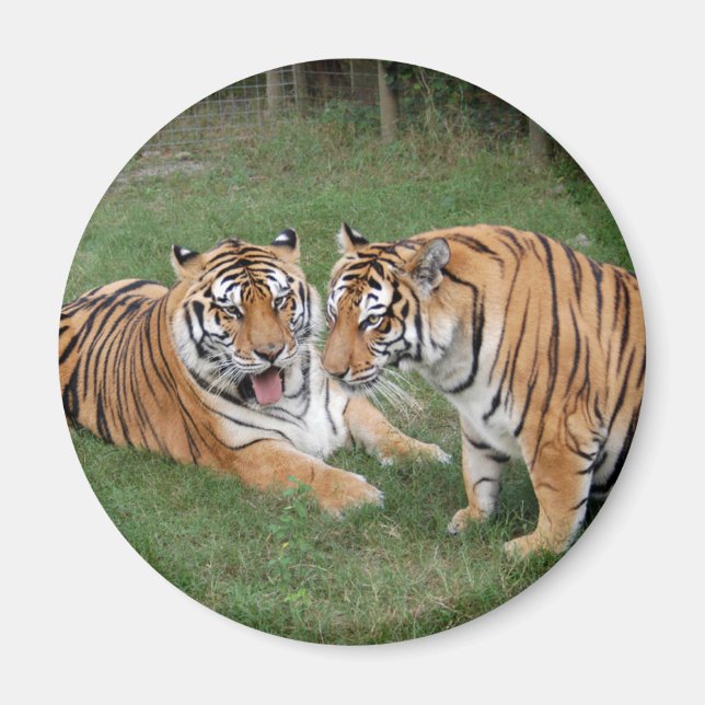 khan-n-china009 magnet (Front)