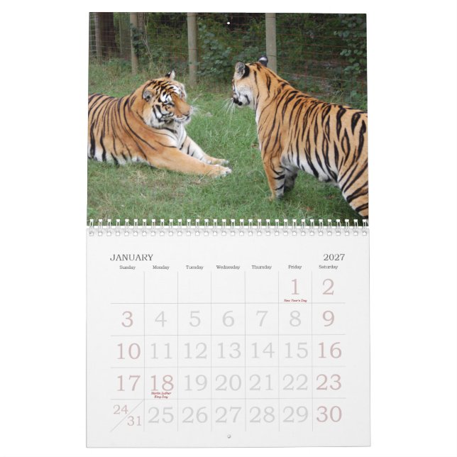 khan-n-china010, Shere Khan and China Dollthe B... Calendar (Jan 2027)