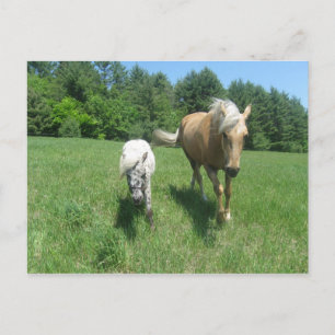 Khrysta and Cash Postcard