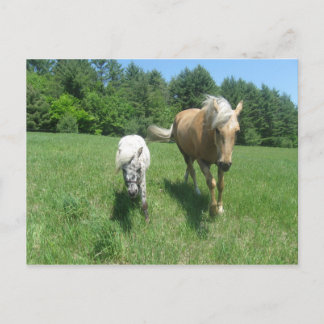 Khrysta and Cash Postcard