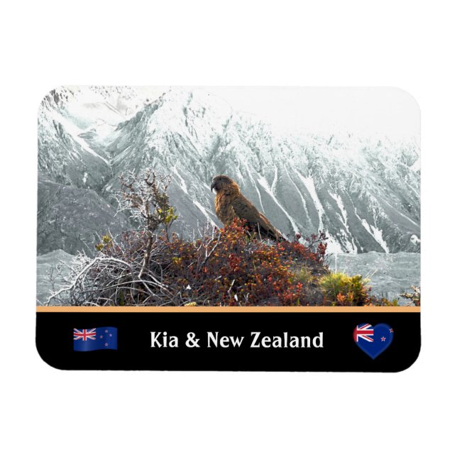 Kia Parrot & Famous Birds, Trekking /New Zealand Magnet (Horizontal)