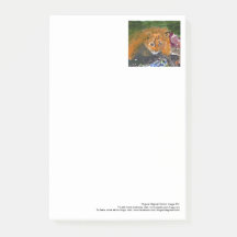 Kia the cat large post-it notes