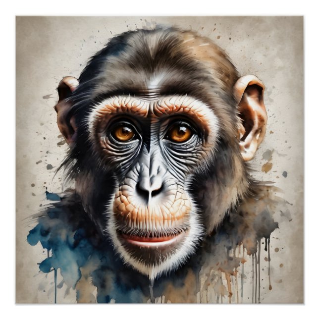 Kiano the Chimpanzee Art Poster (Front)